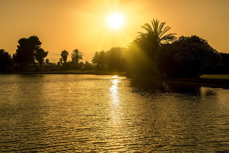 Golf course Oliva Nova Golf 3197