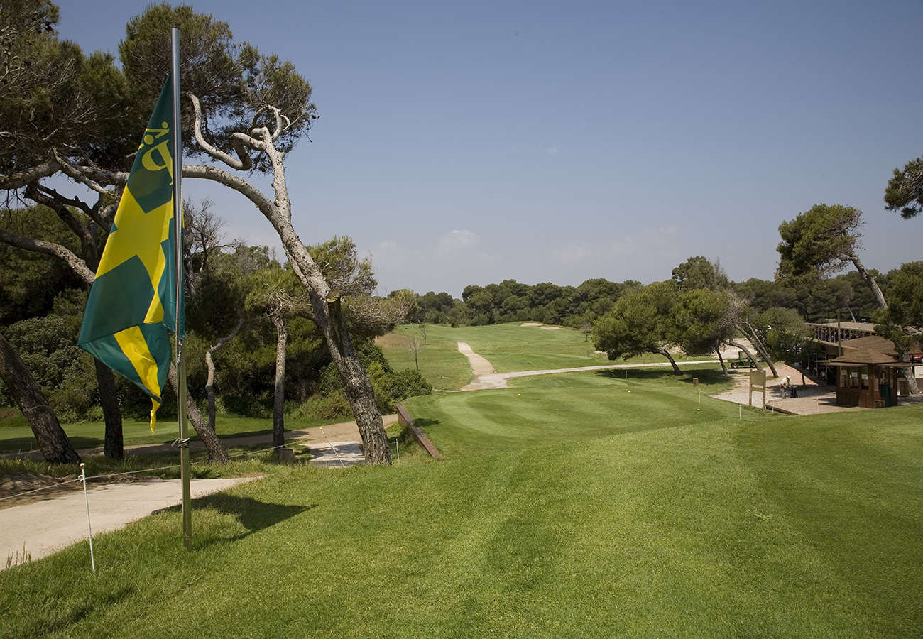 Golf course El Saler Golf 2424