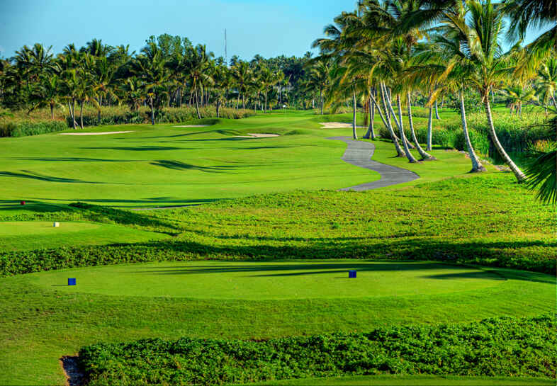 Golf course The Lakes Barceló Golf Course 2444