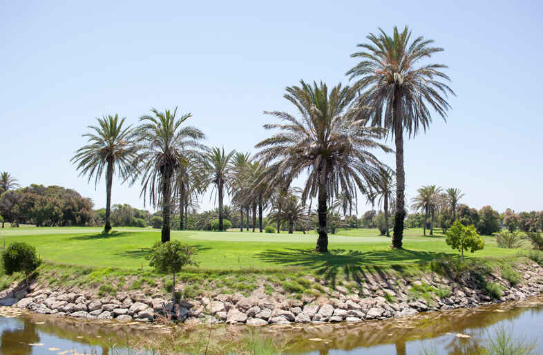 Golfplatz Almerimar Golf 2496
