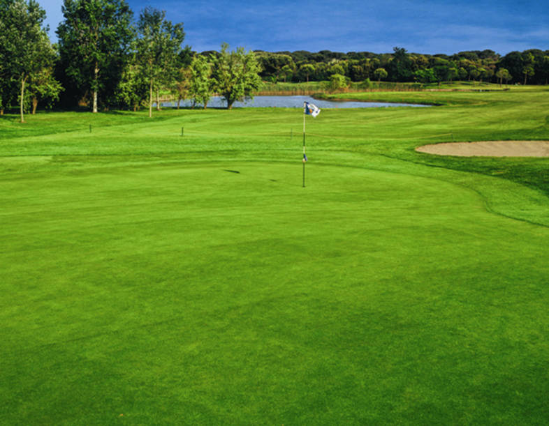 Golf course Adriatic Golf Club Cervia 355