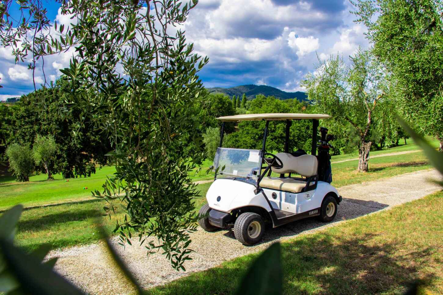 Golf course Montecatini Terme Golf 4376
