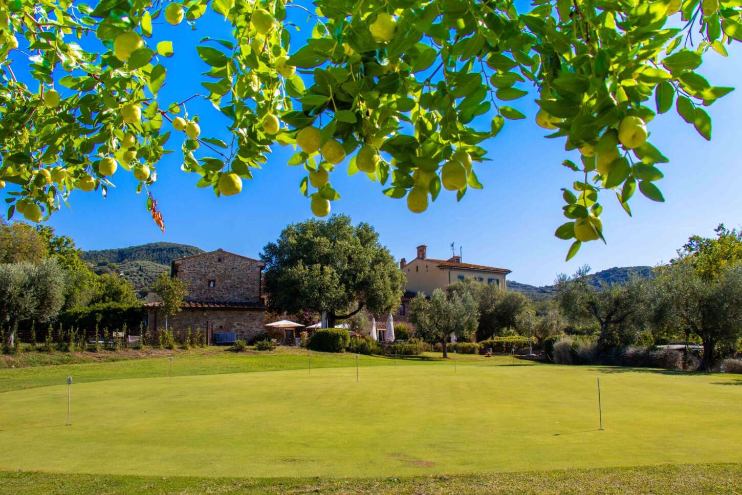 Golf course Montecatini Terme Golf 4383