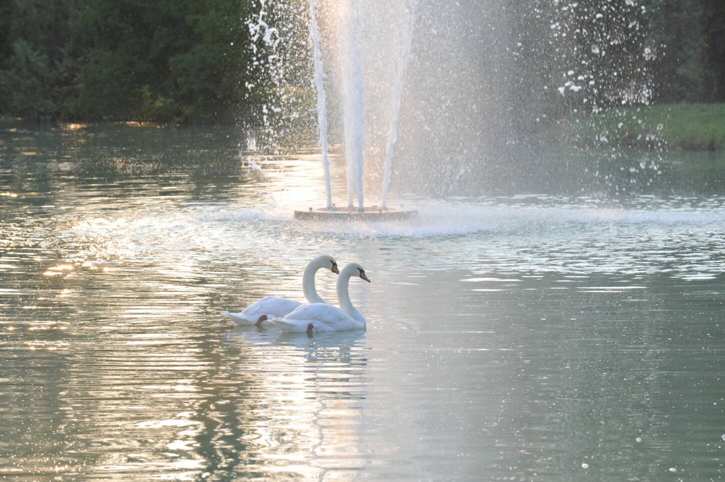 Golf course Gardagolf Country Club 3824