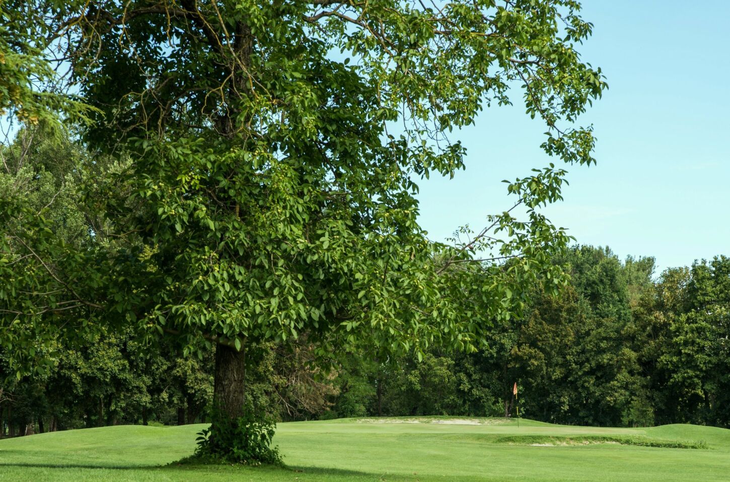 Golfplatzansicht