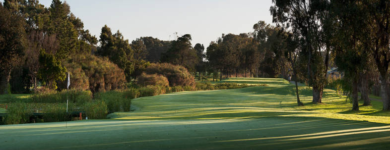 Golf course Royal Cape Golf Club 2568