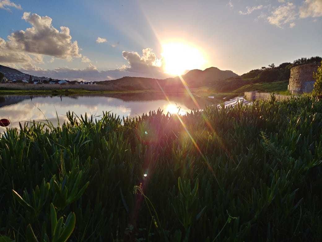 Golf course Clovelly Country Club 5578