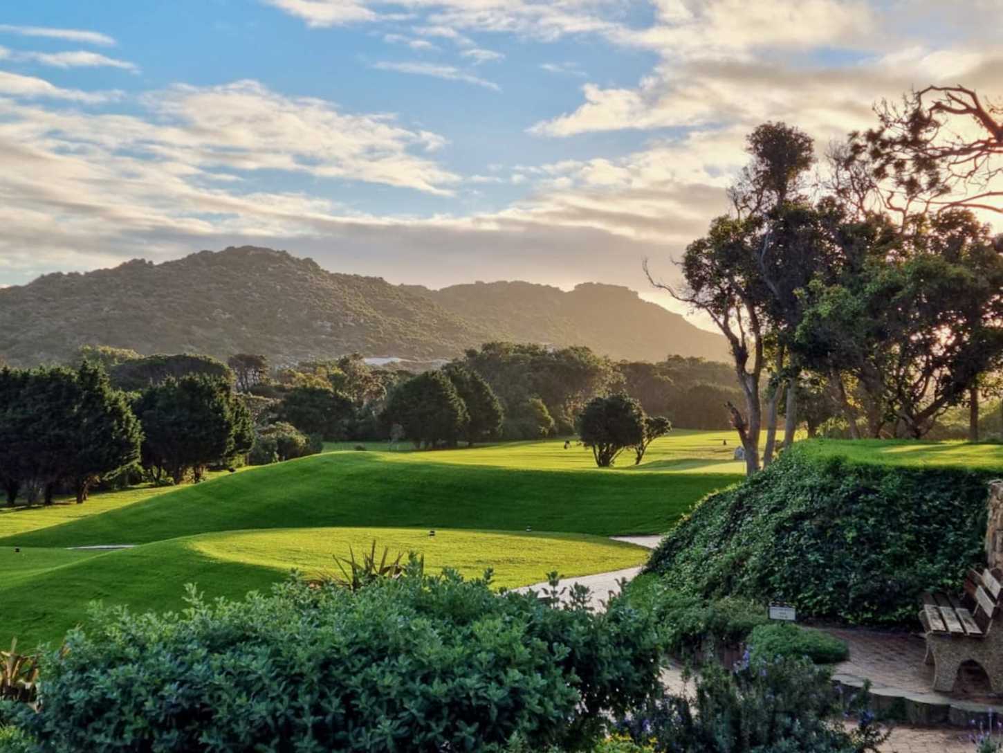 Golf course Clovelly Country Club 5579