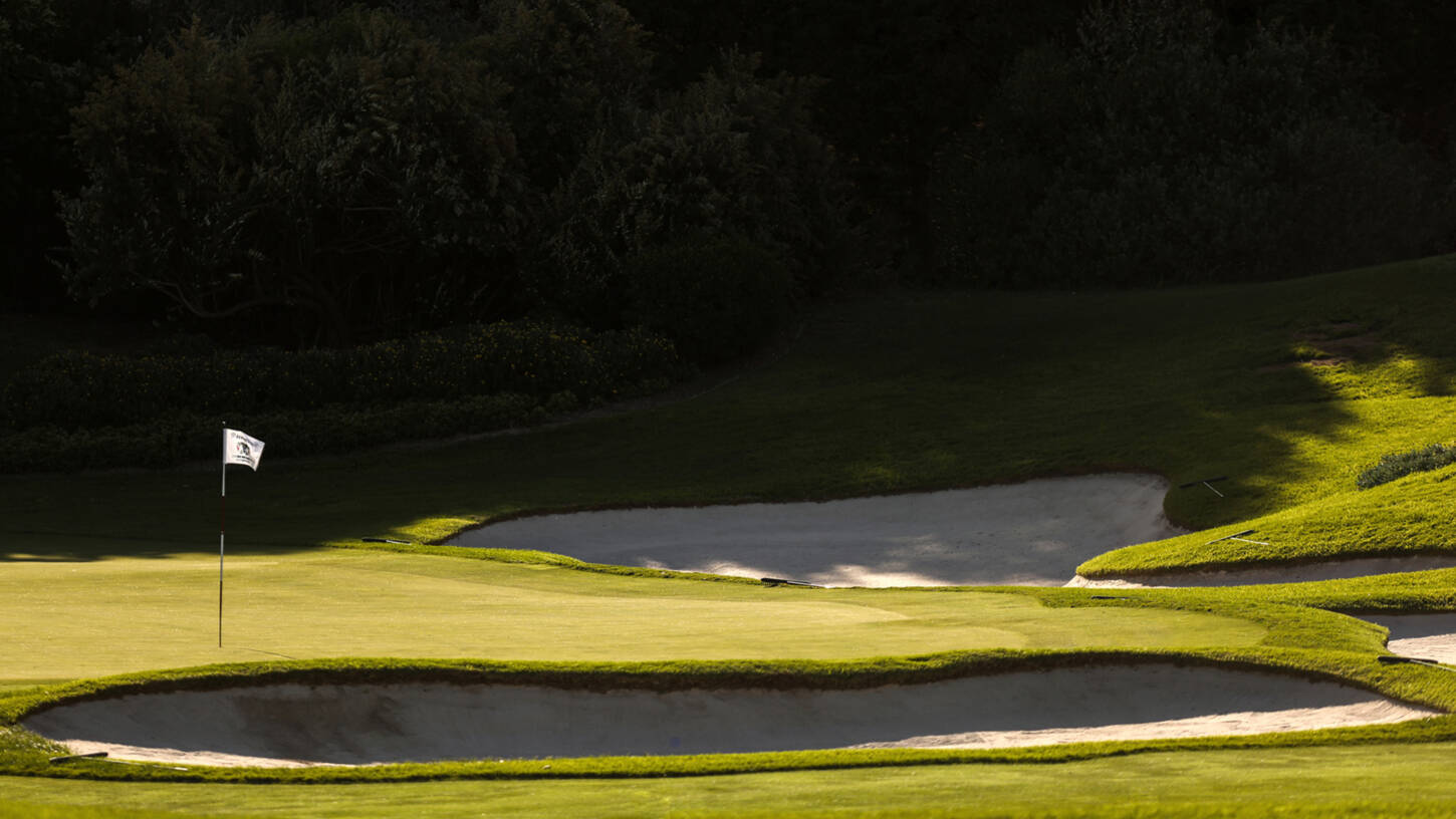 Golf course Steenberg Golf 3455