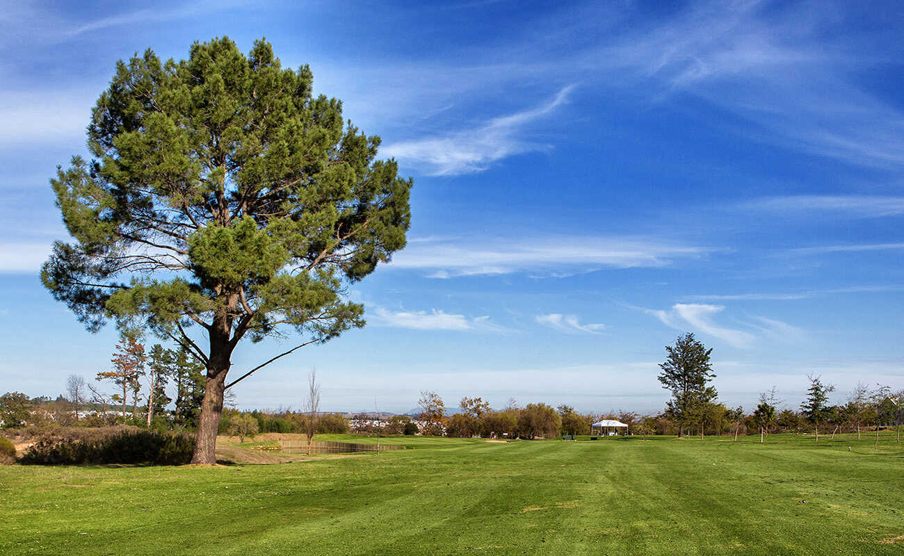 Golf course Stellenbosch Golf Club 2616