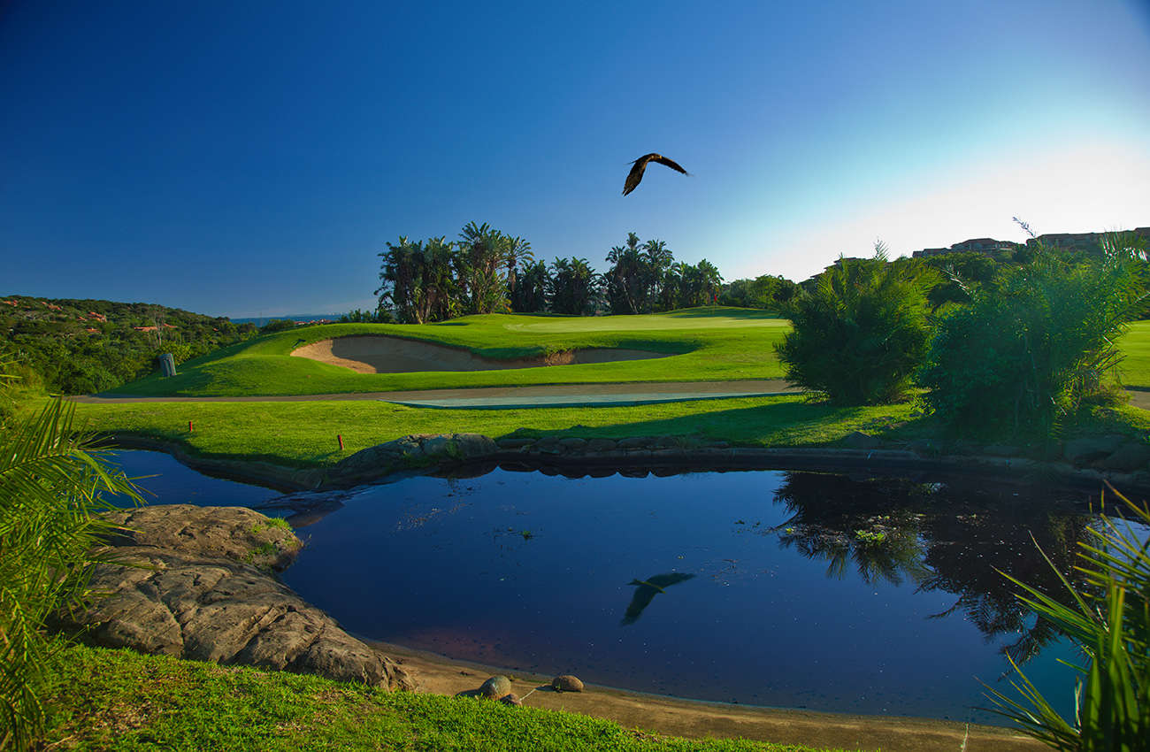 Golf course Zimbali Country Club 2678