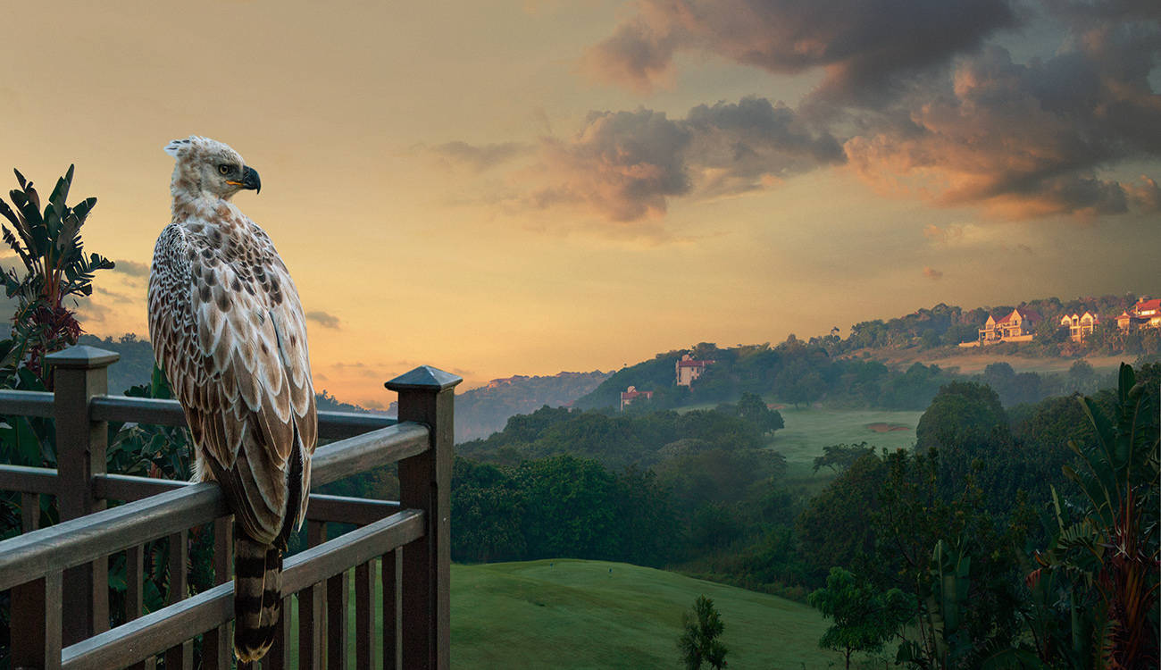 Golf course Zimbali Country Club 2680