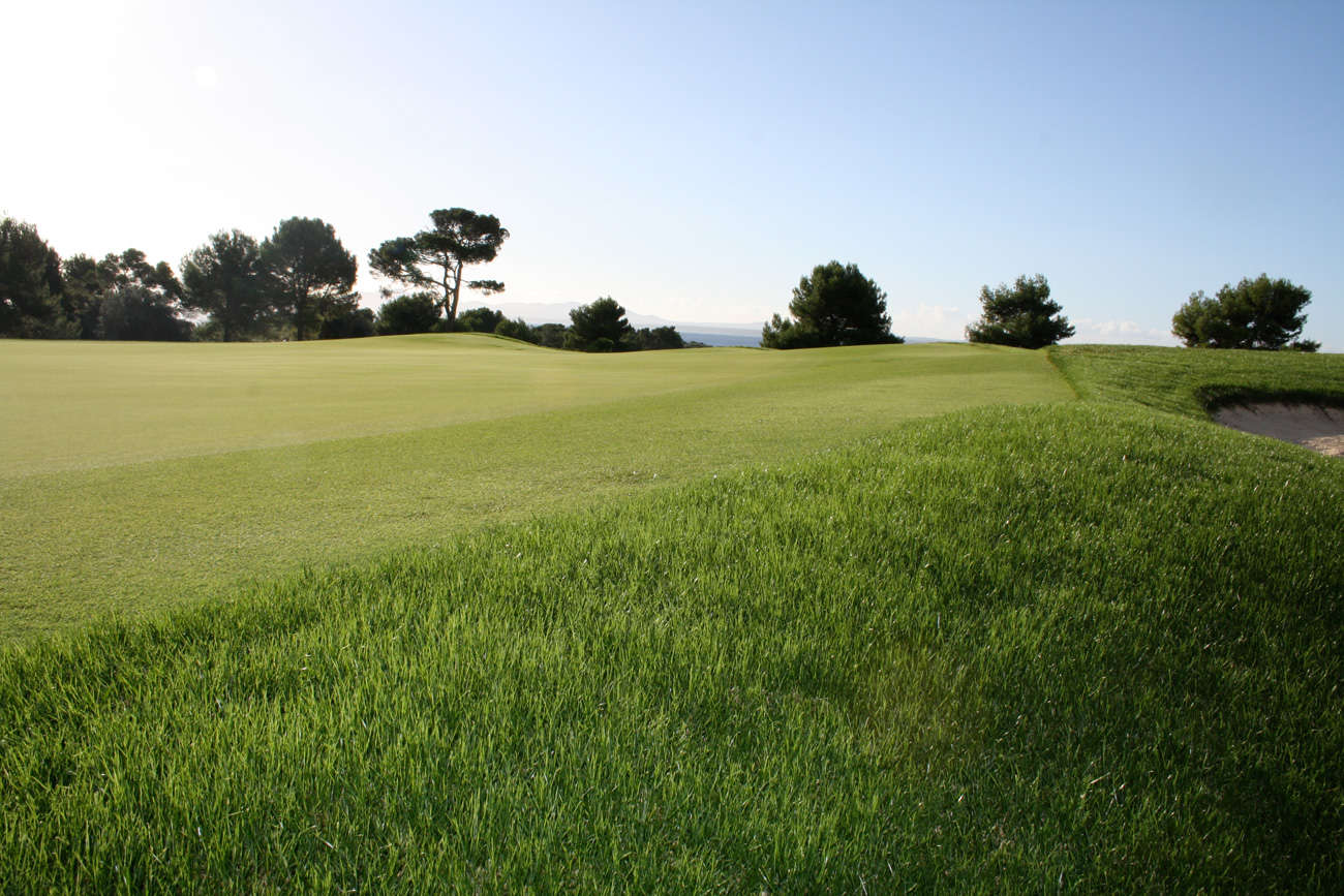 Golf course Club de Golf Alcanada 39