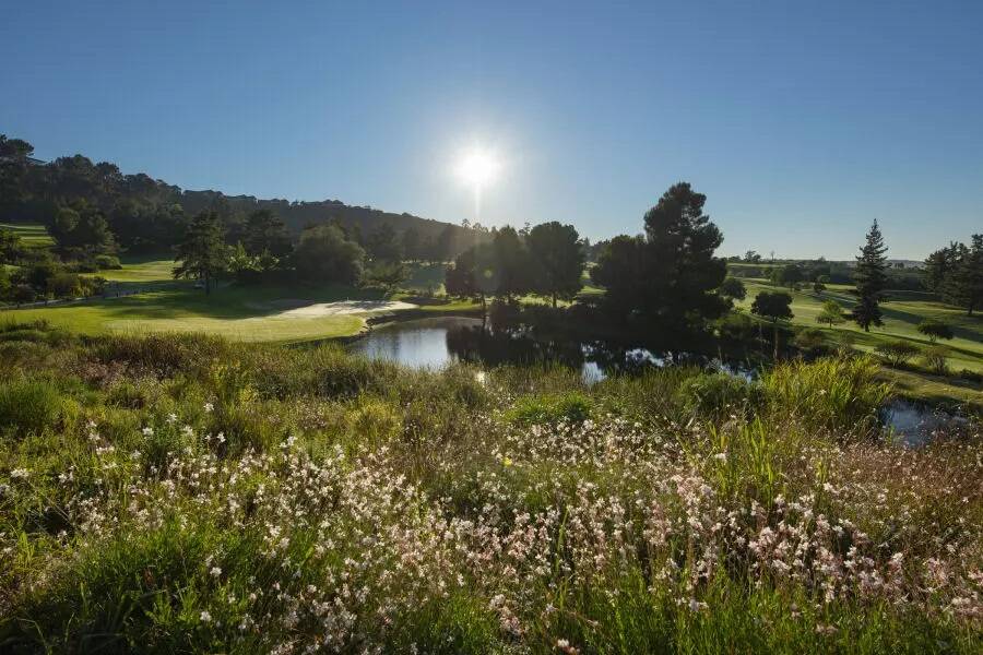 Golf course Simola Golf & Country Estate - The Jack Nicklaus Signature Golf Course 3441