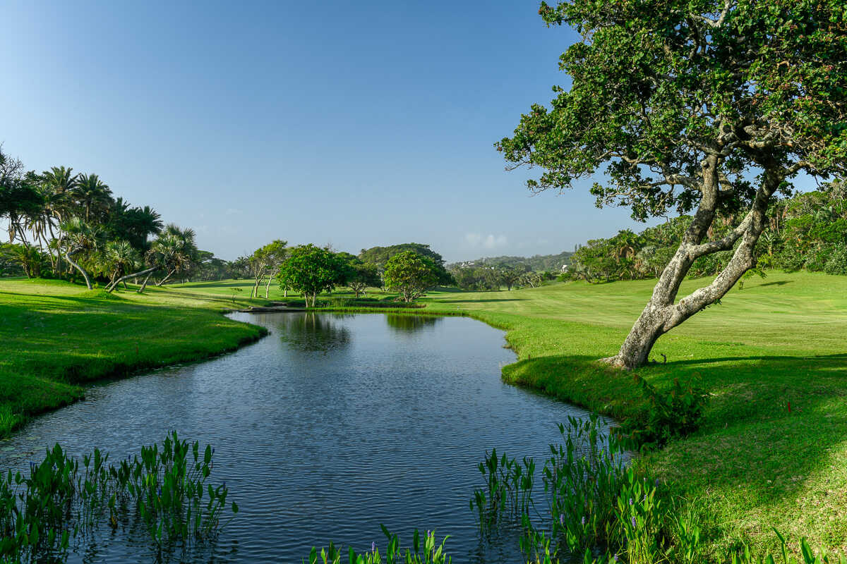 Golf course Southbroom Golf Club 3450