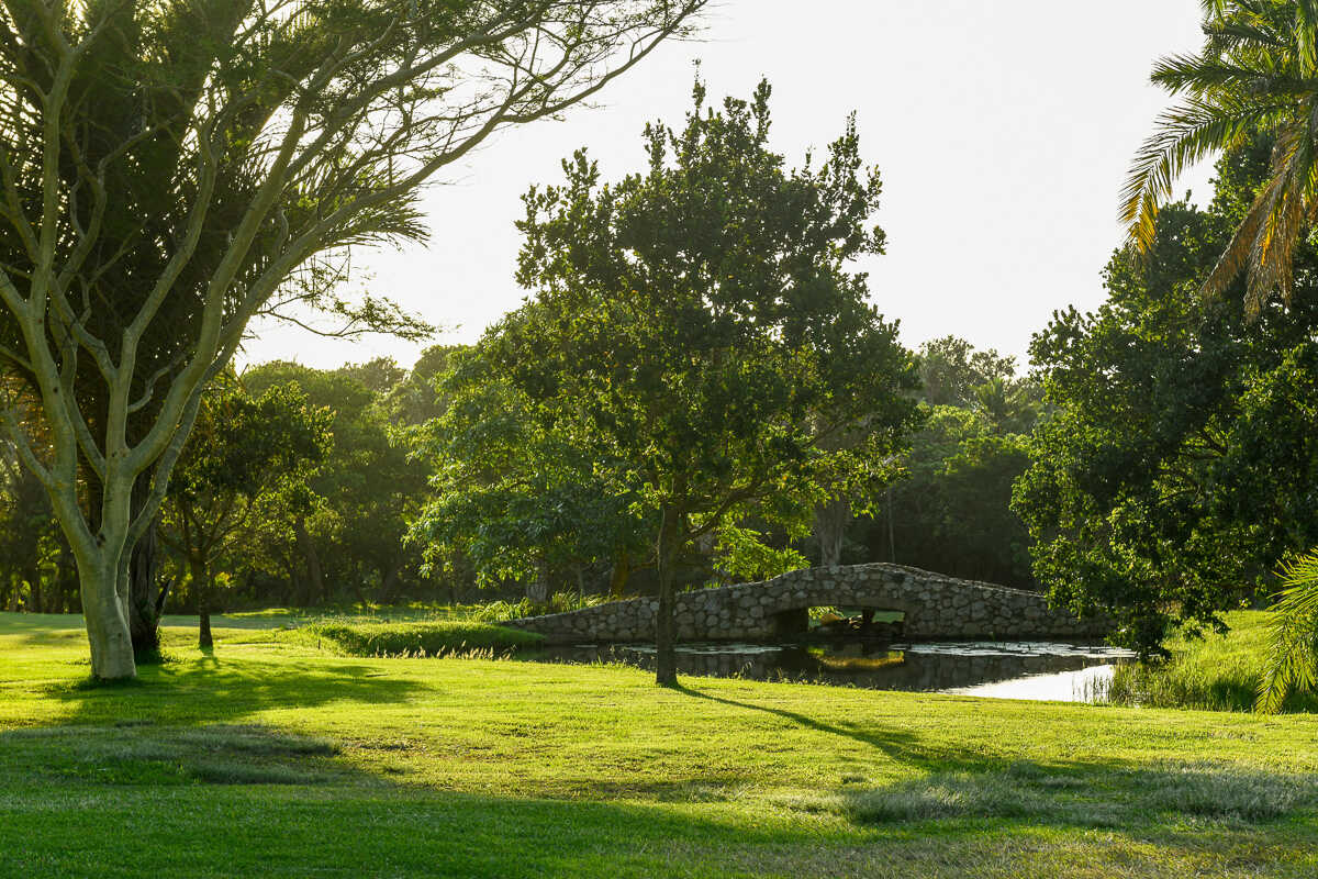 Golf course Southbroom Golf Club 3453