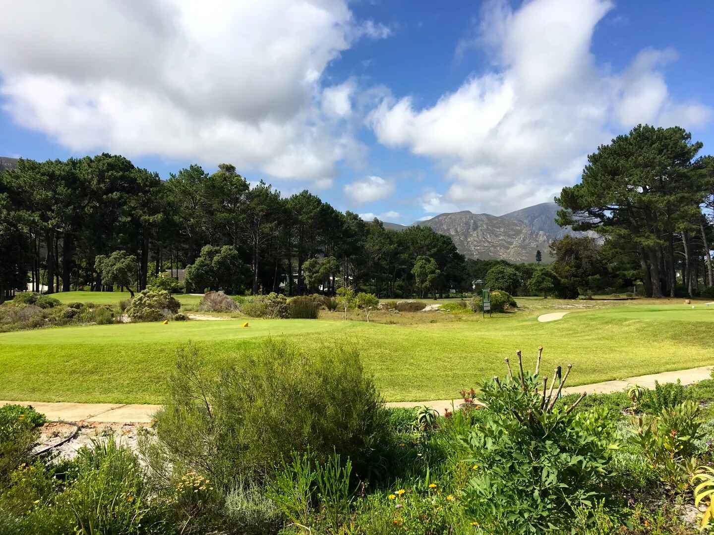 Golf course Hermanus Golf Club 3306