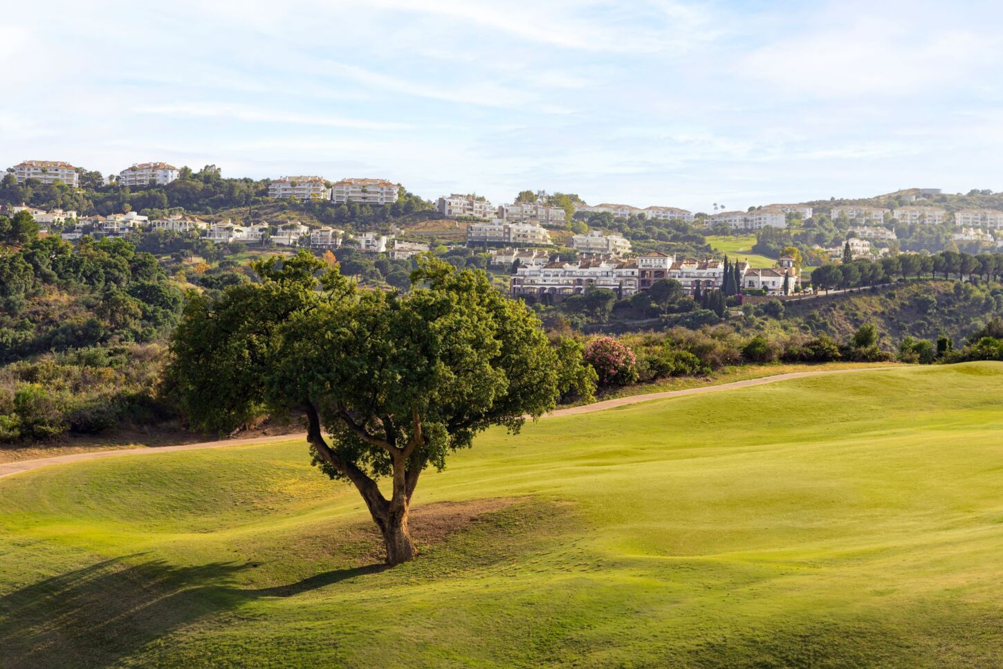 Golf course La Cala Europa 8785