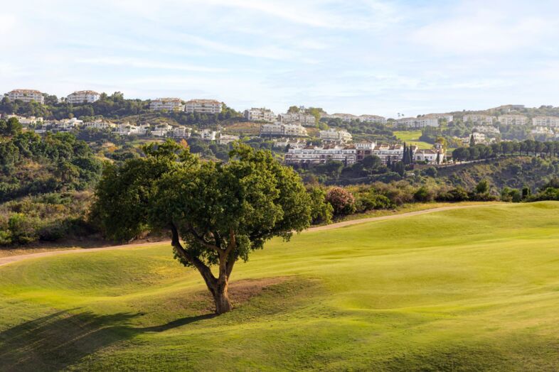 Golf course La Cala Europa 8785