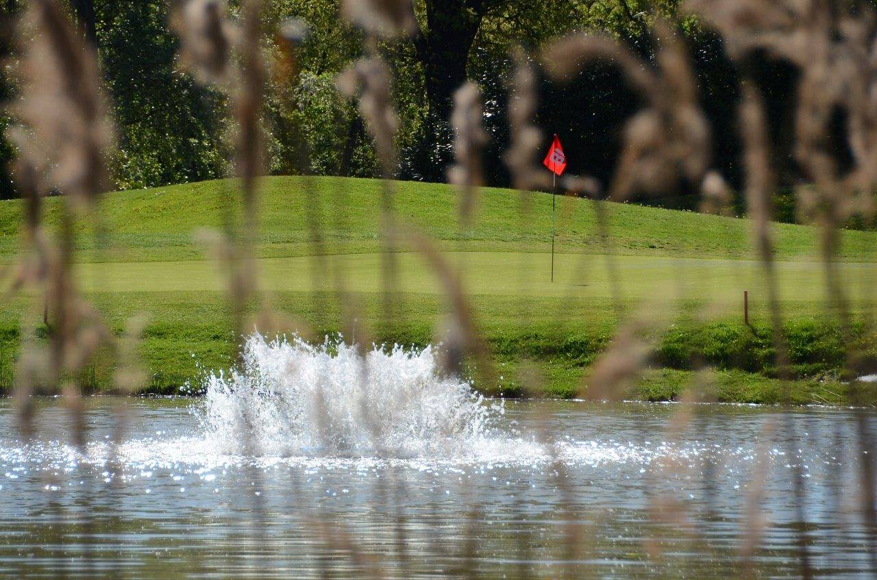 Golf course Golf Club Le Fonti 3533