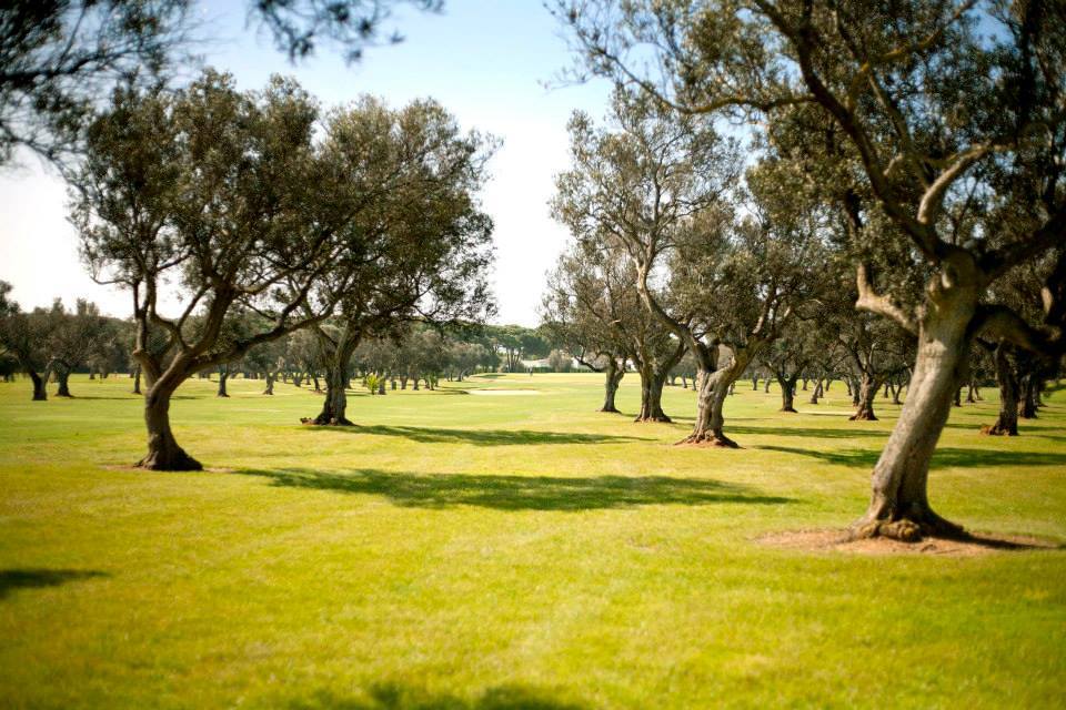 Golf course Club de Golf Campano 6919