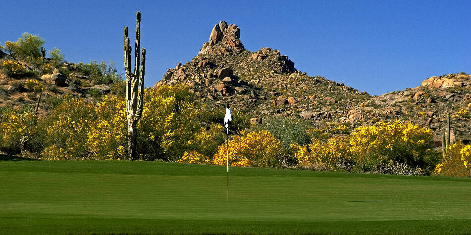 Golf course Troon North Golf Club 5661