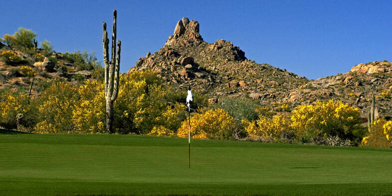 Golf course Troon North Golf Club 5661