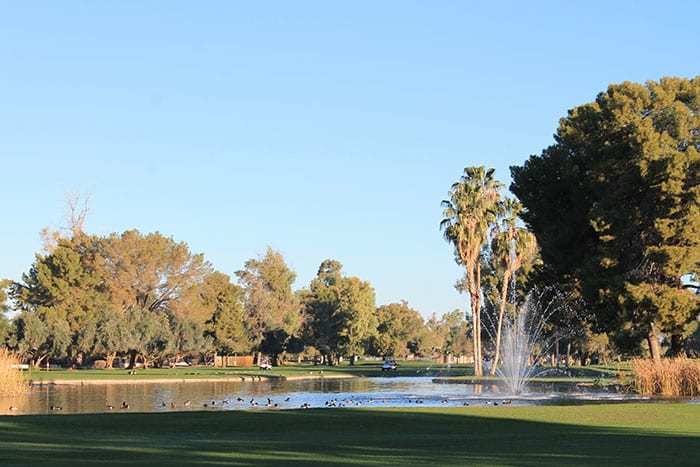 Golf course Orange Tree Golf Course 5685