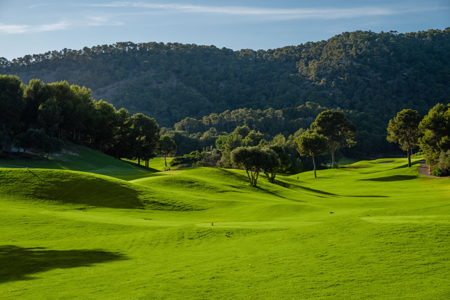 Golfplatz Golf de Andratx 10021