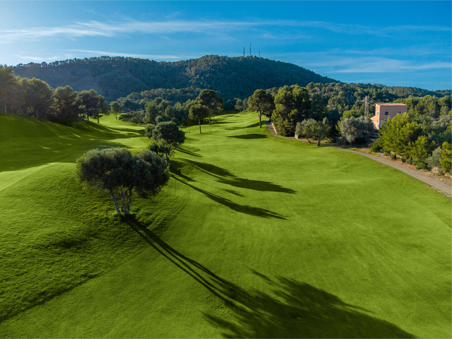 Golfplatz Golf de Andratx 10022