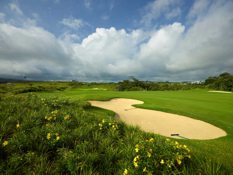 Golf course Avalon Golf Estate 6471