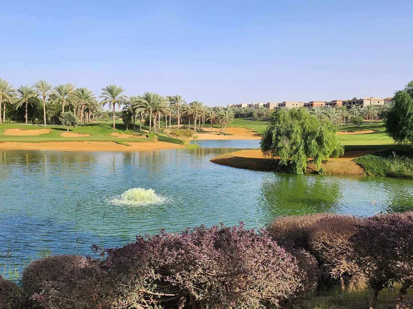 Golf course Katameya Dunes - The Palms Course 6940