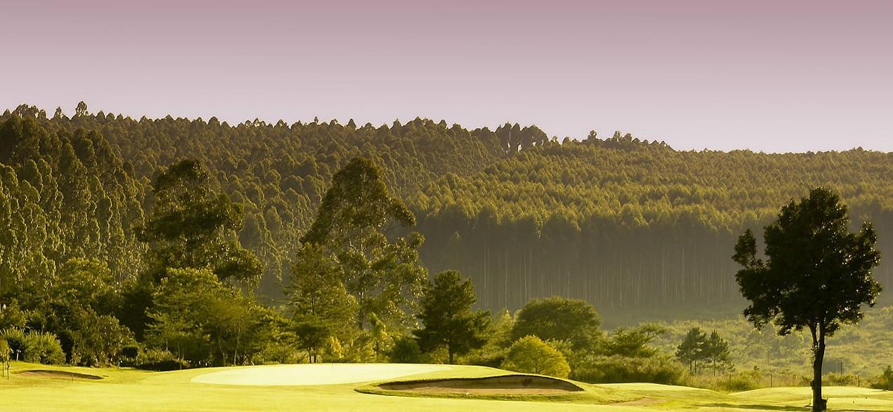 Golf course White River Country Club 7398