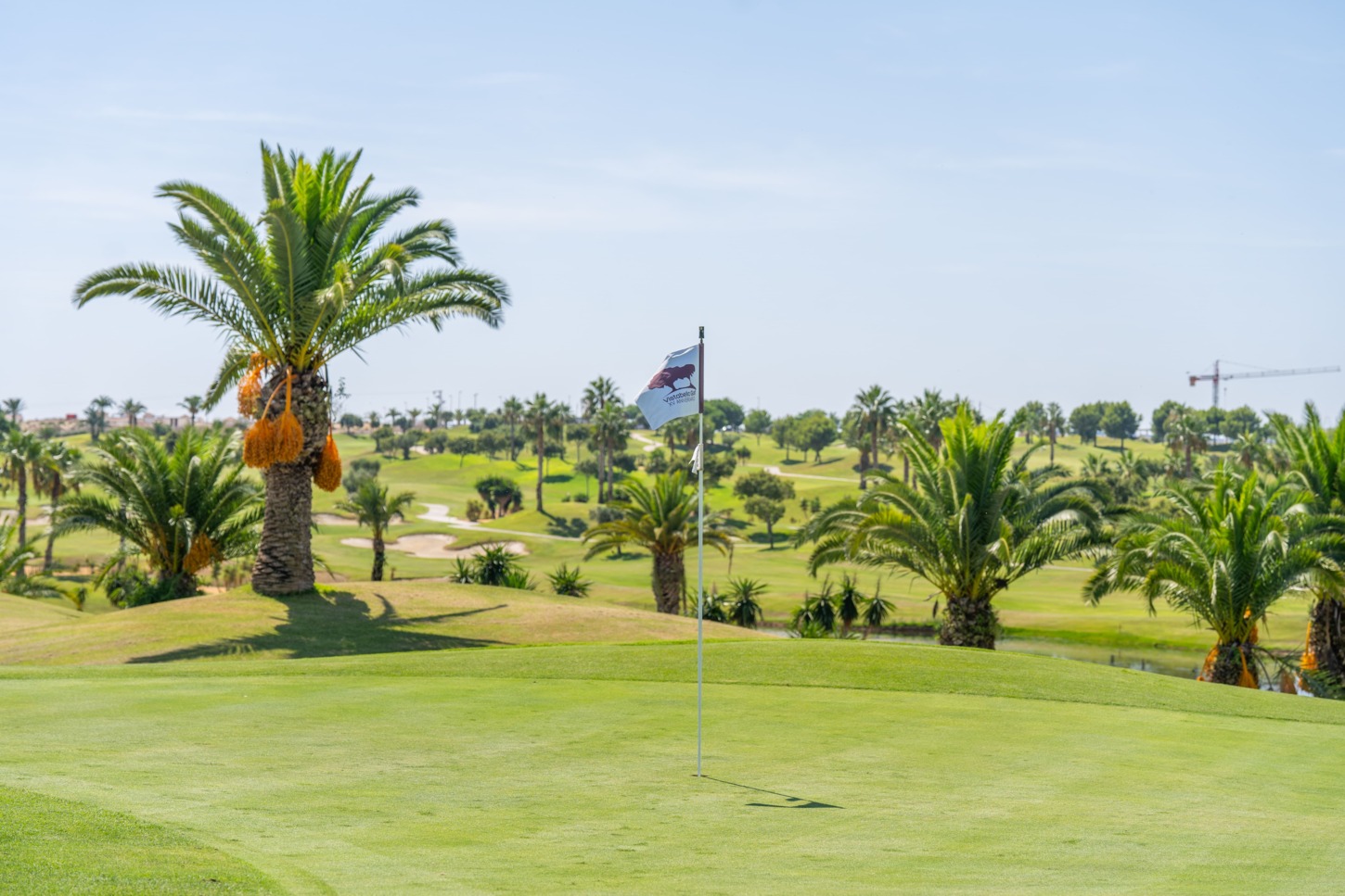 Golfplatz Vistabella Golf 10039