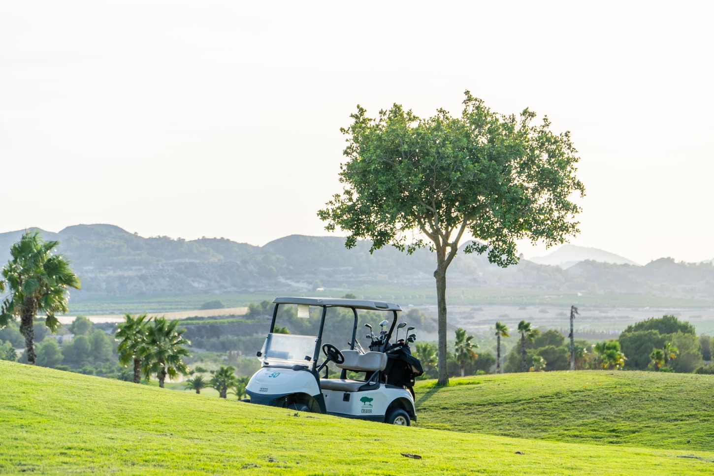 Golfplatz Vistabella Golf 10042