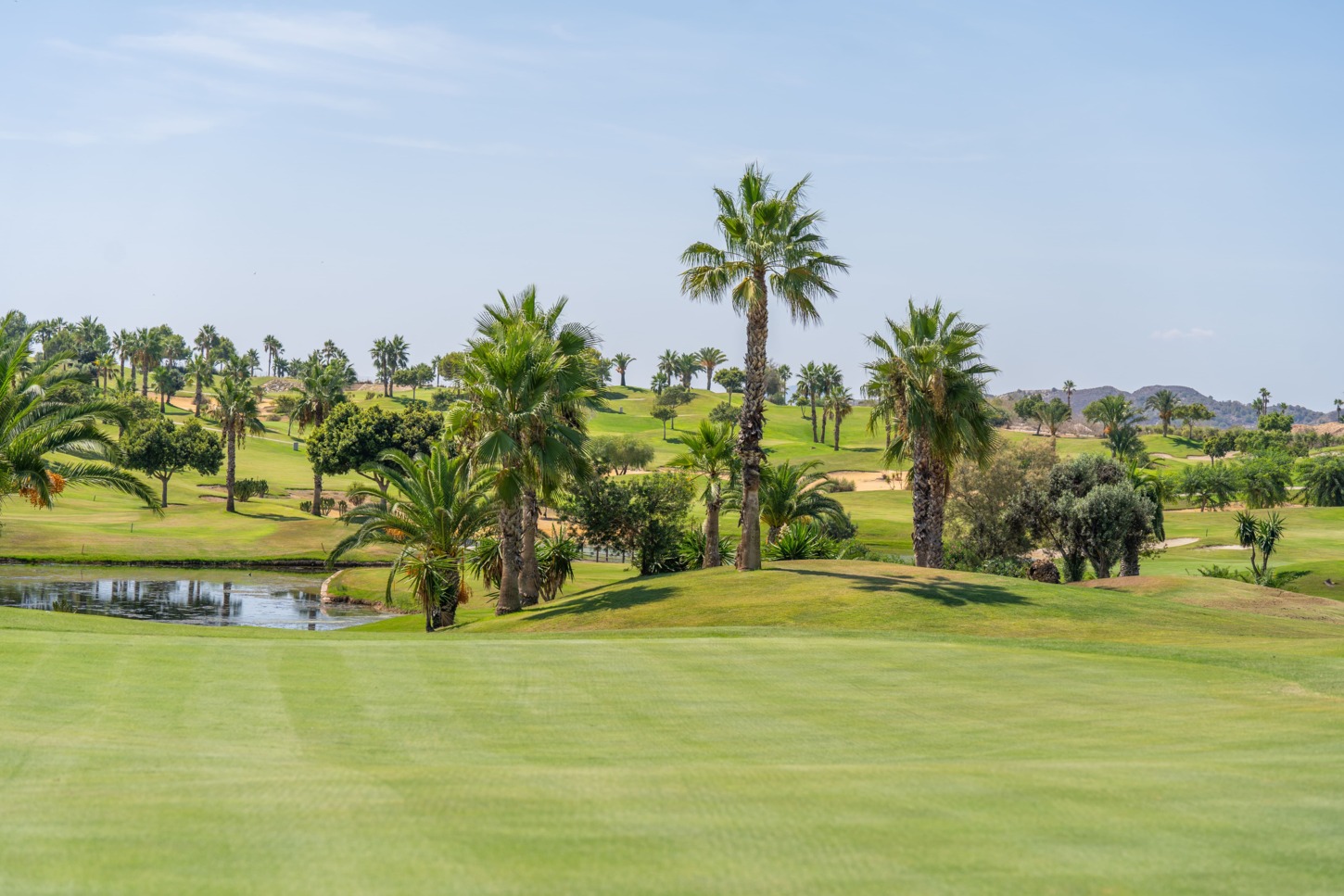 Golfplatz Vistabella Golf 10045