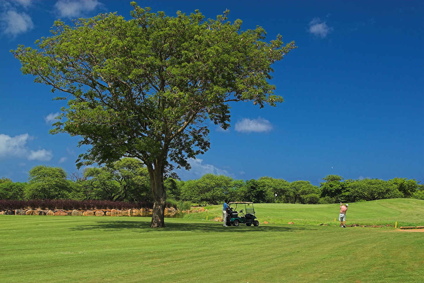 Golf course Tamarina Golf Club 561