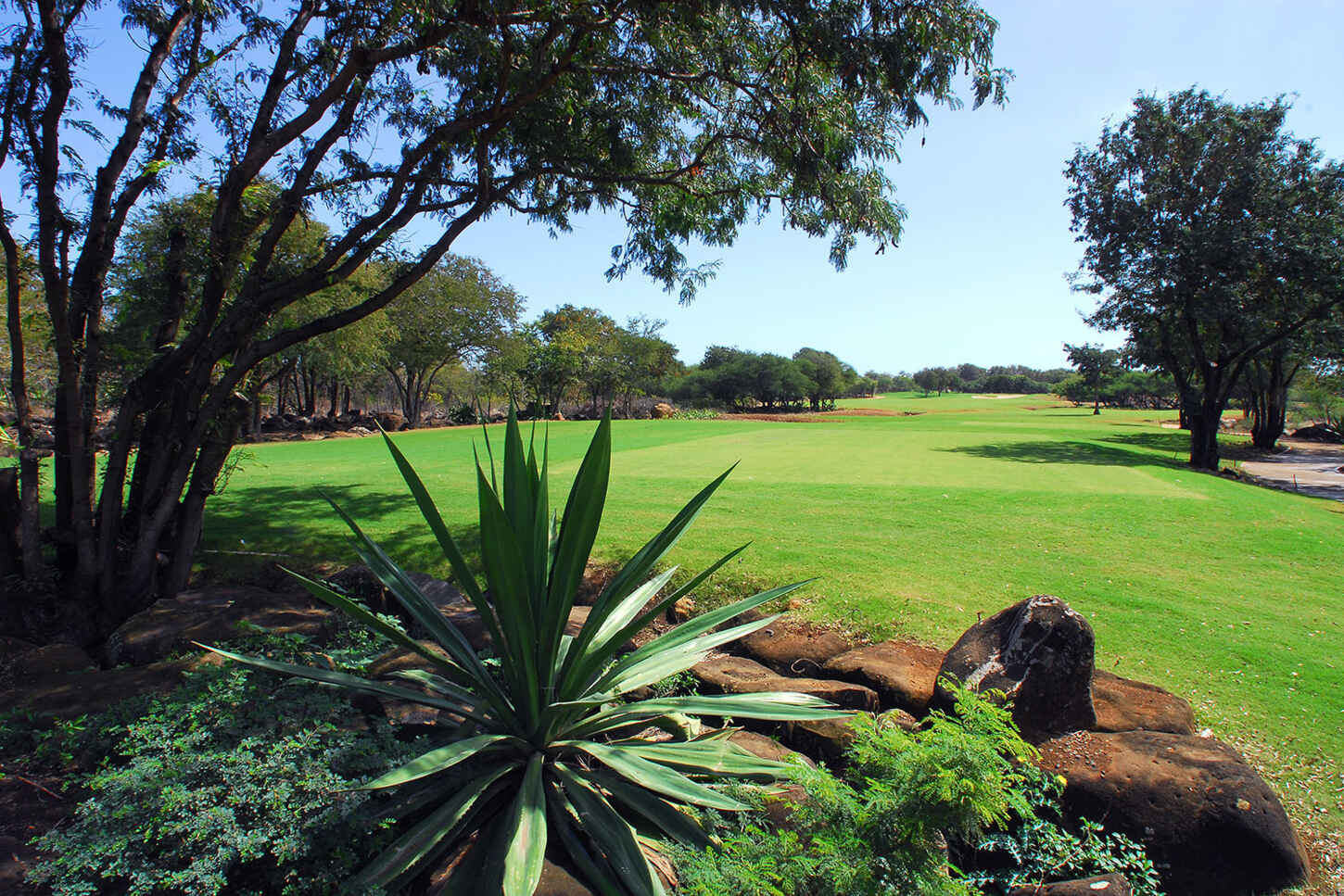 Golf course Tamarina Golf Club 552