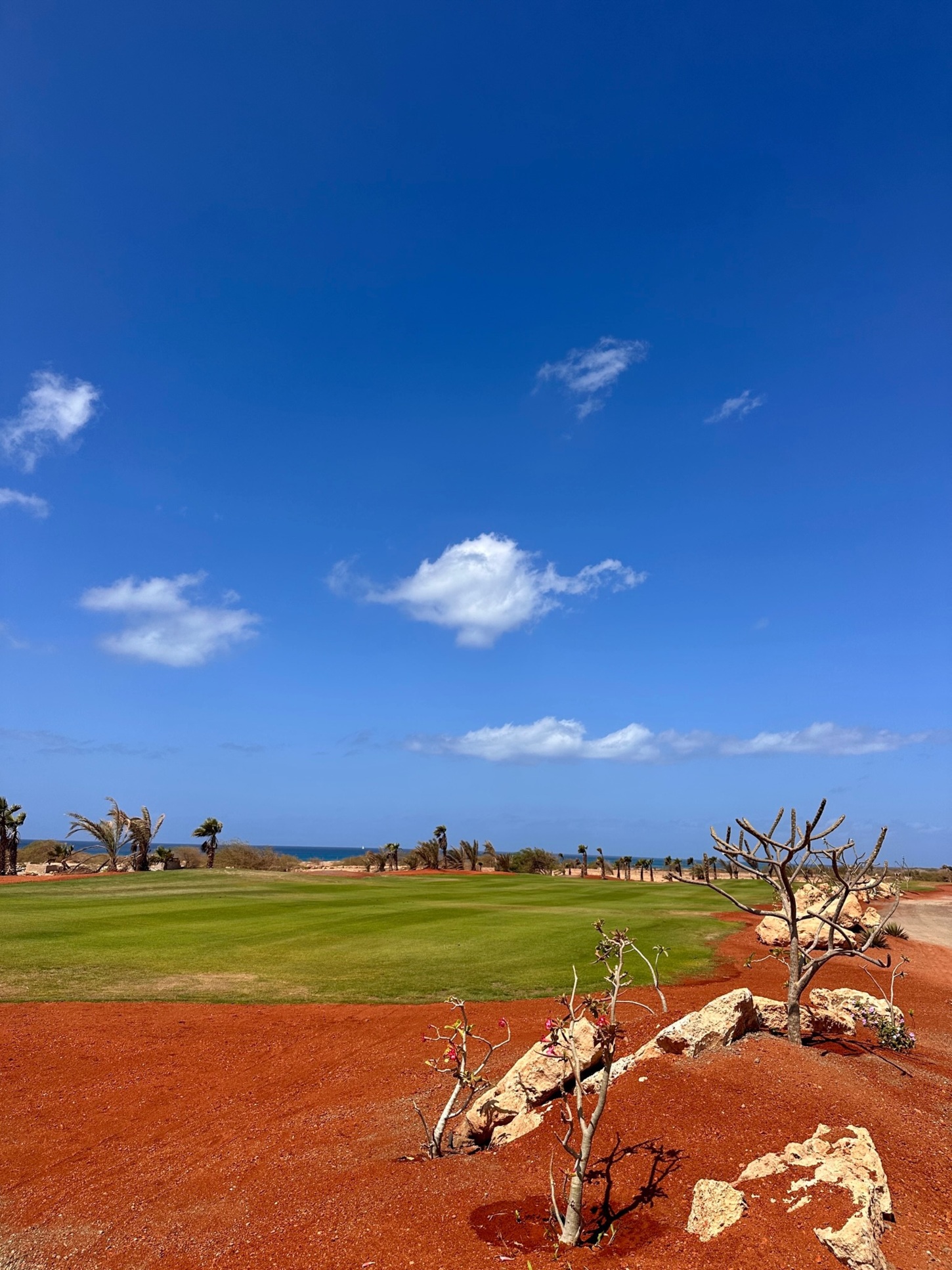 Golf course Viveiro Golf & Country Club 8560