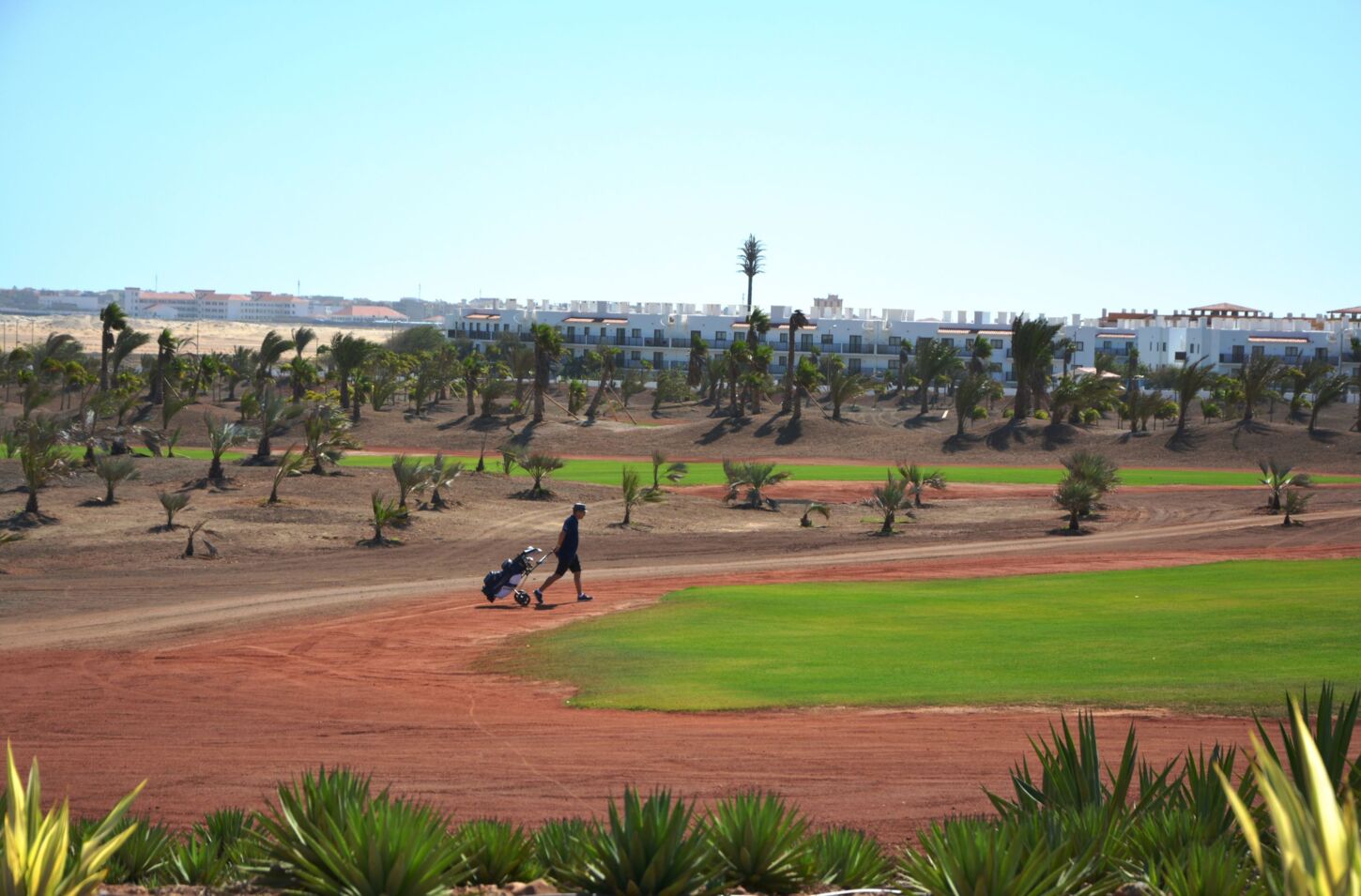 Golf course Viveiro Golf & Country Club 8645