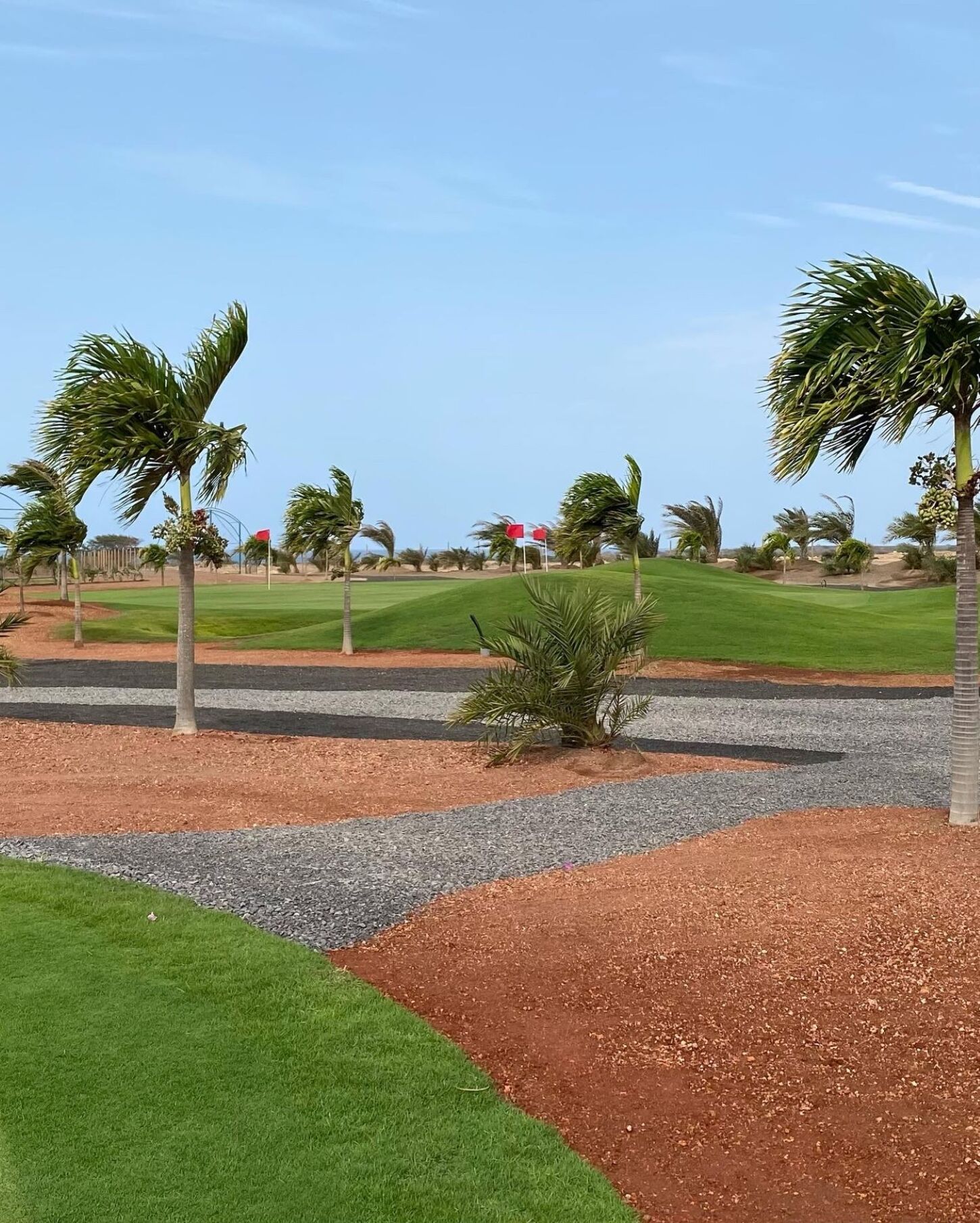 Golf course Viveiro Golf & Country Club 8653