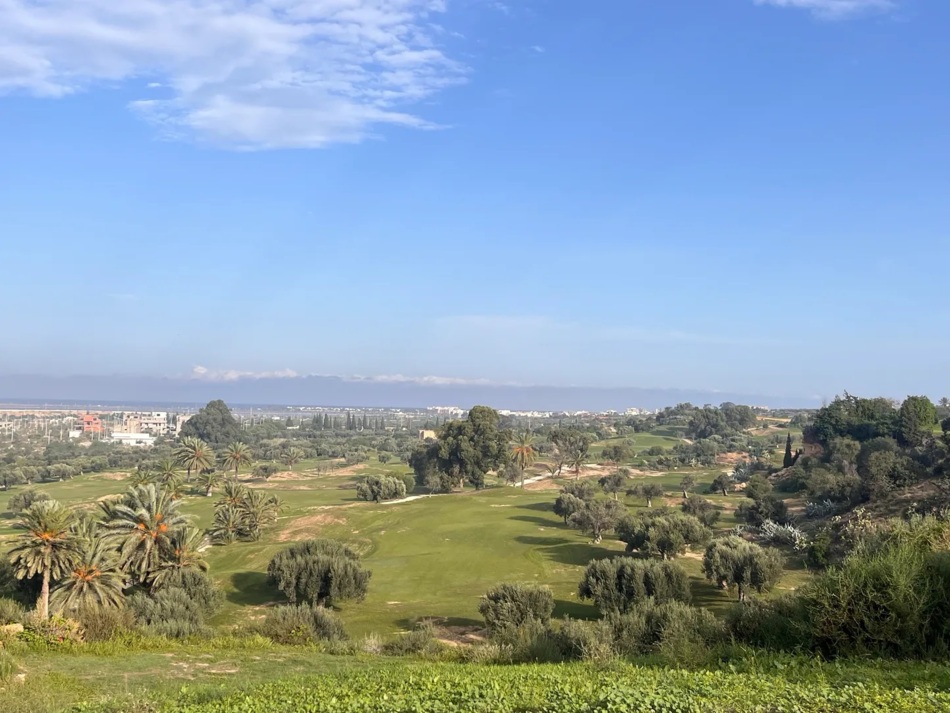 Grün mit Stadtblick