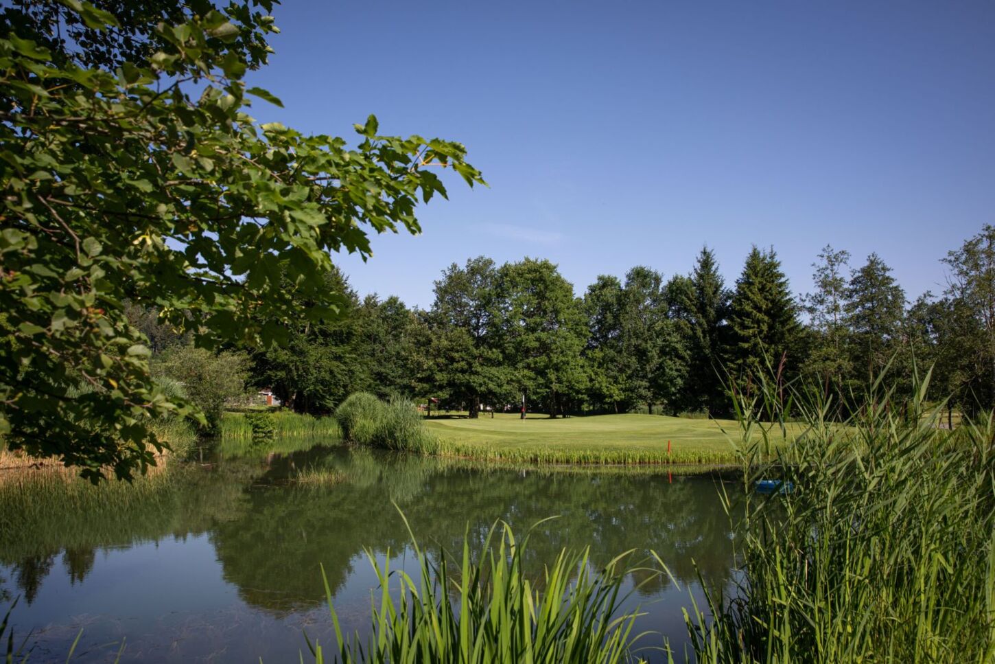 Golfplatz Golfclub Oberstaufen-Steibis 9424