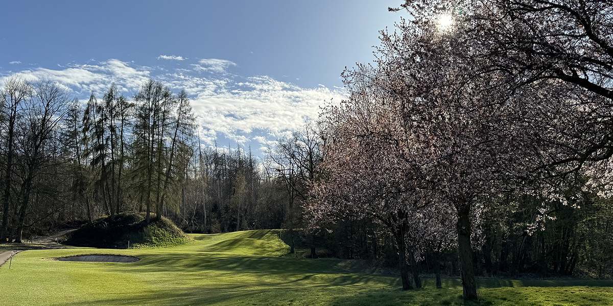 Golfplatz Hamelner Golfclub e.V. 9506