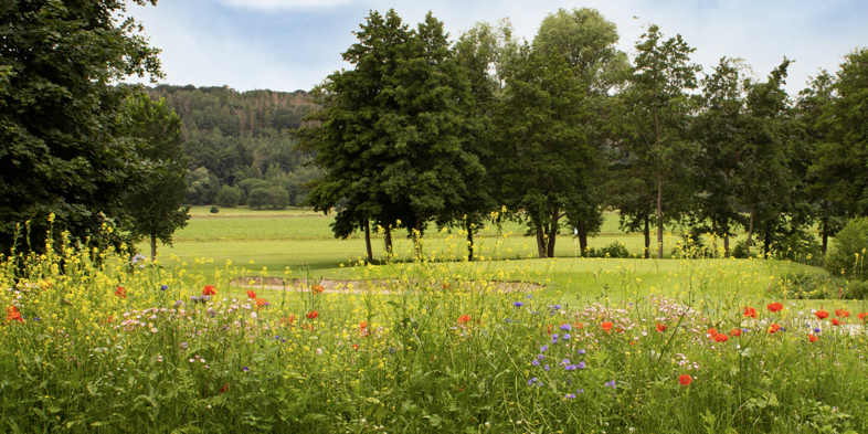 Golfplatz Hamelner Golfclub e.V. 9502