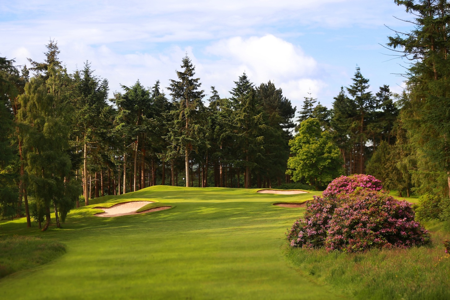 Golfplatz