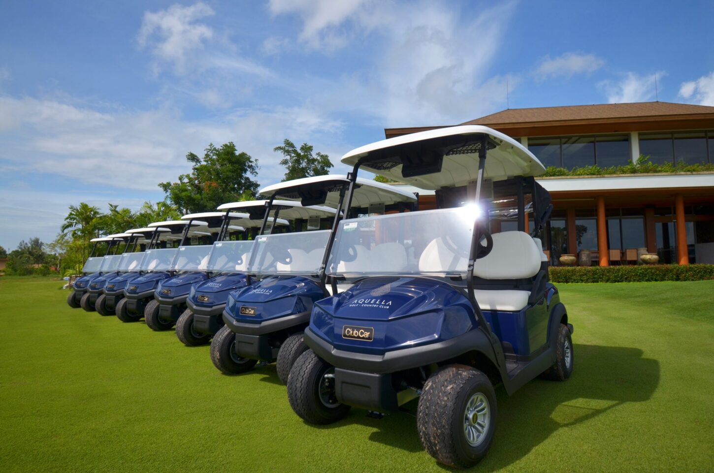 Golf Cart