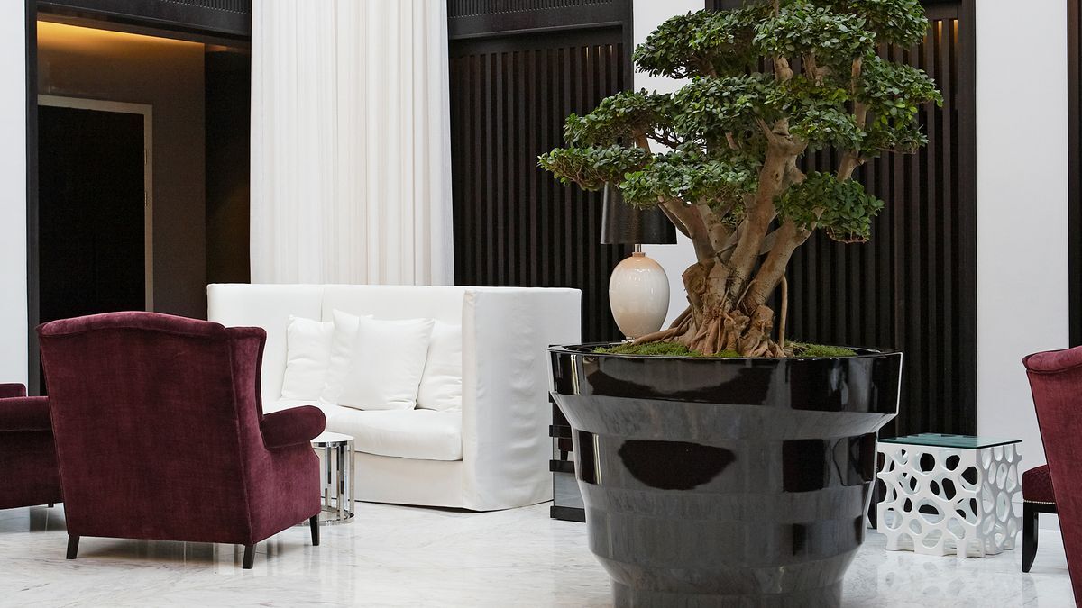 Lobby / Eingangsbereich