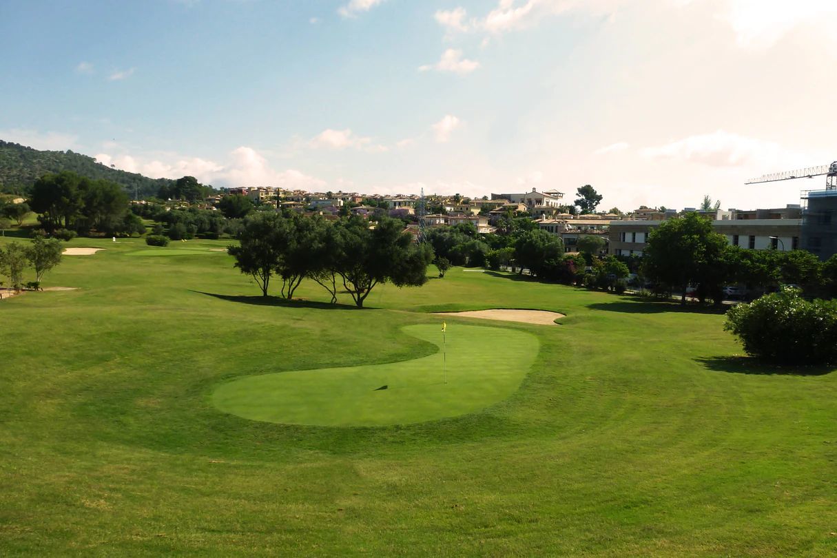 Son Quint Executive Course