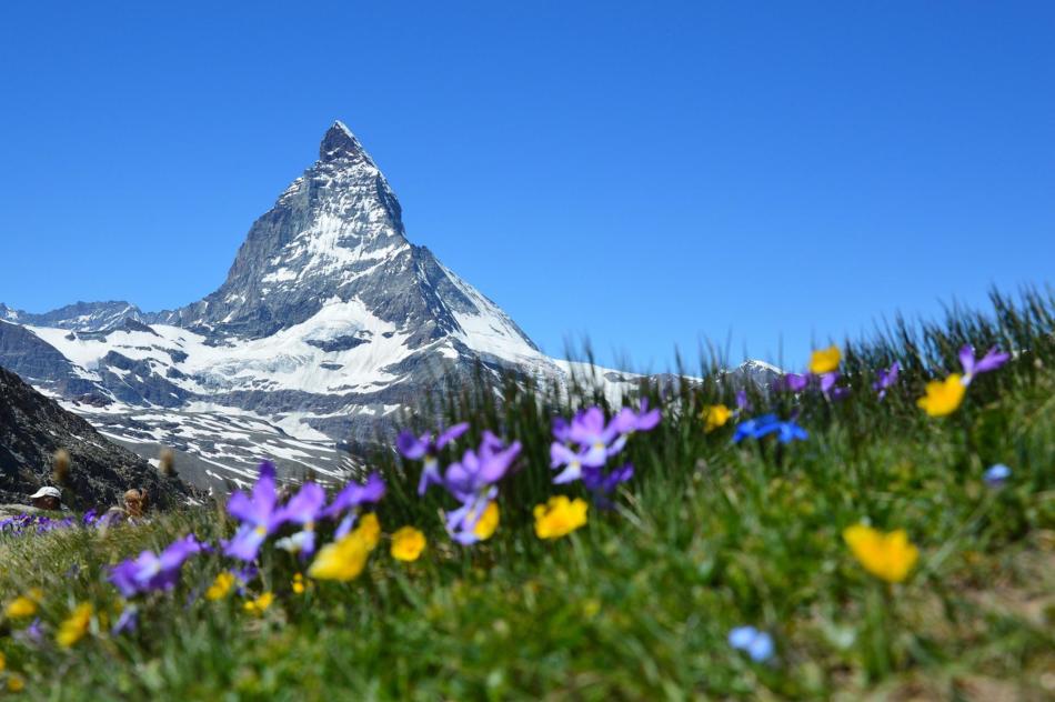 Country Schweiz